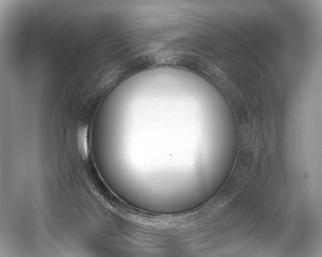 X0000059830028200510211225