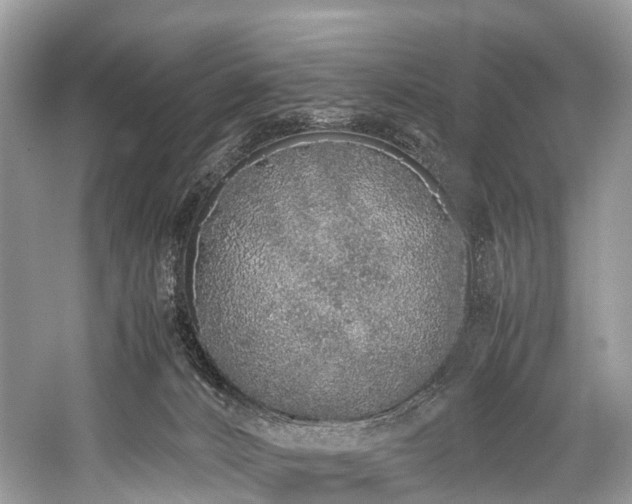 X0000059830032200510211225