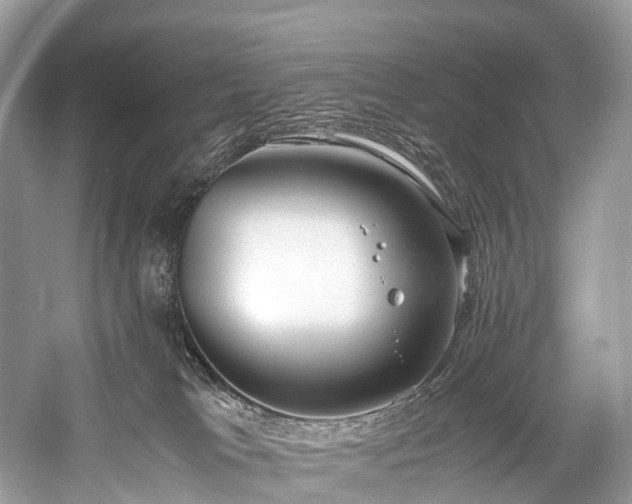 X0000059830037200510211225