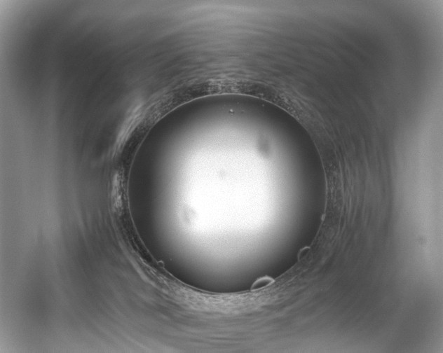 X0000059830038200510211225