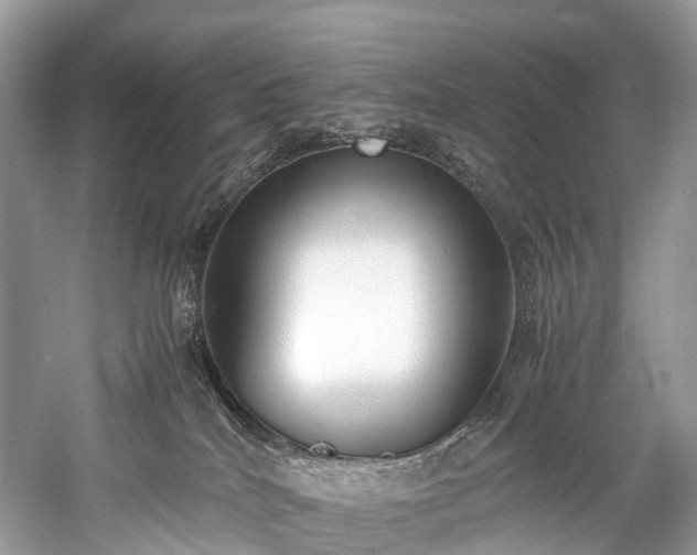 X0000059830040200510211225