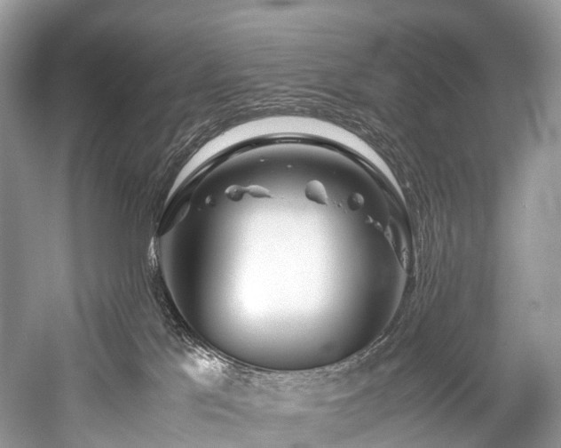 X0000059830041200510211225