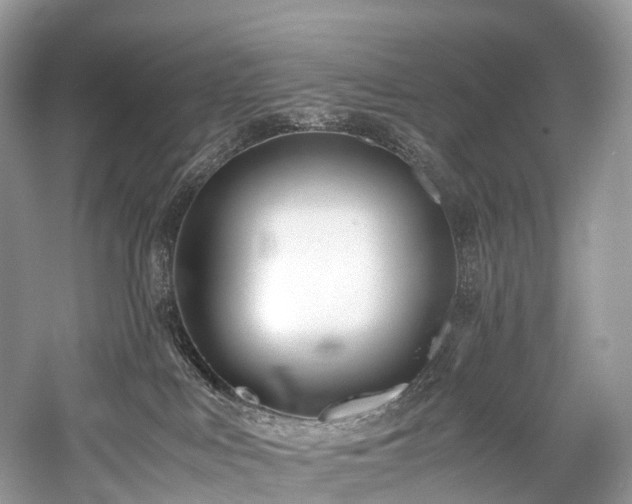 X0000059830043200510211225