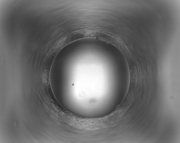 X0000059830044200510211225