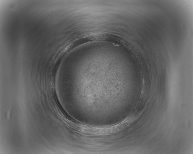 X0000059830048200510211225