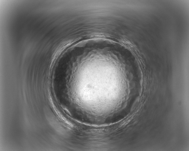 X0000059830049200510211224