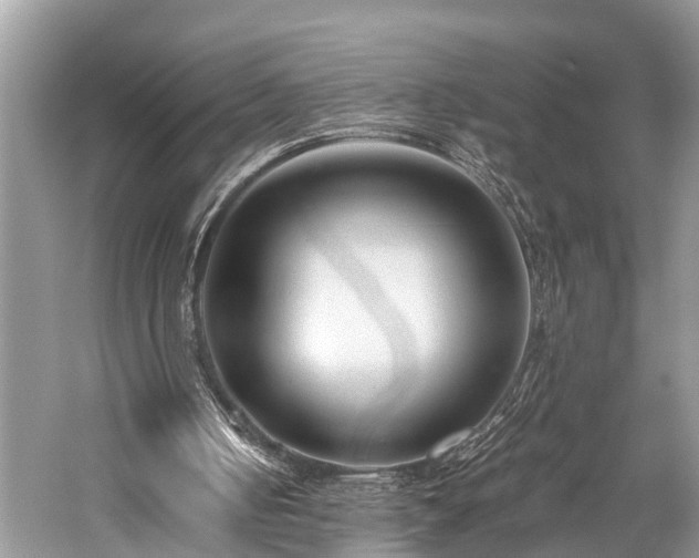 X0000059830050200510211224