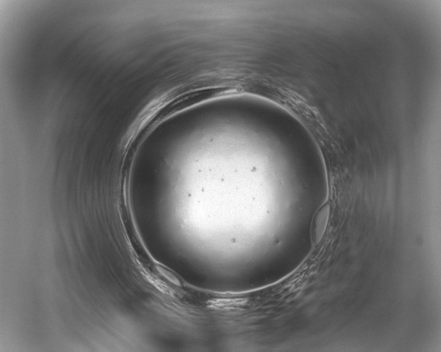 X0000059830051200510211224