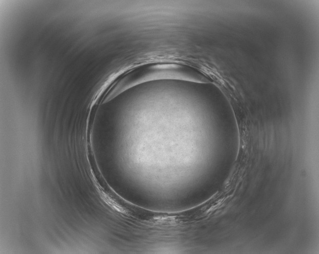 X0000059830052200510211224