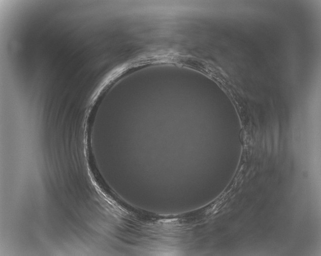 X0000059830054200510211224