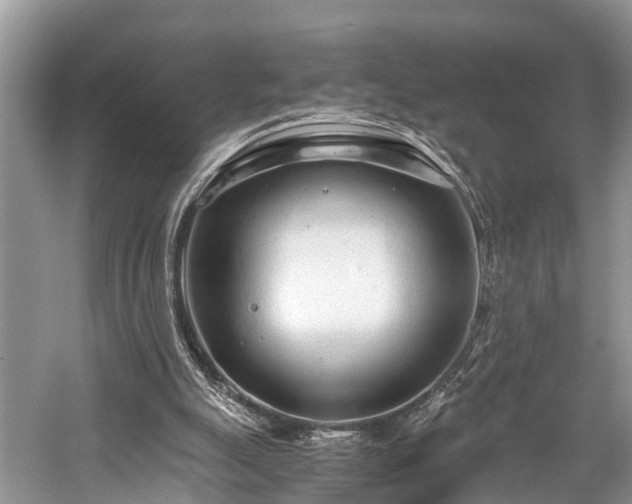 X0000059830055200510211224