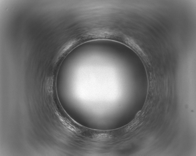 X0000059830058200510211224