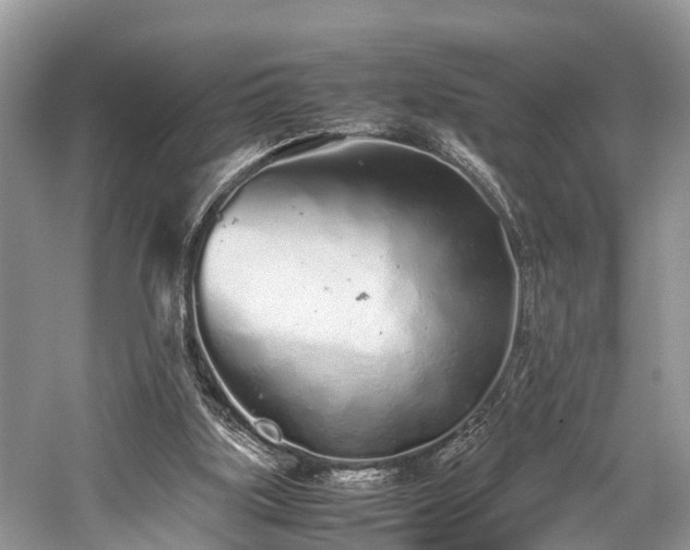 X0000059830059200510211224