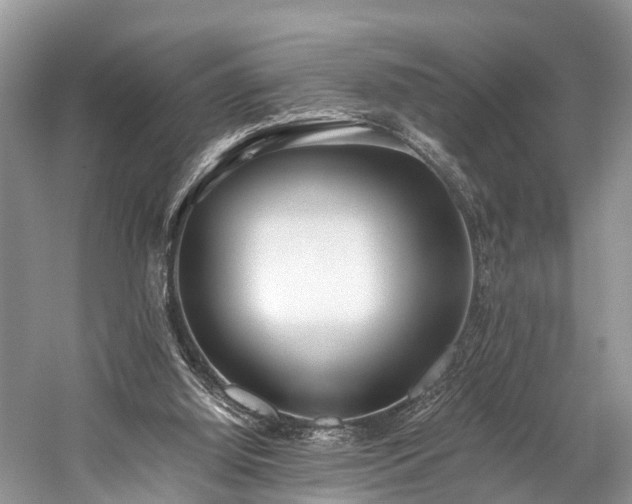 X0000059830060200510211224