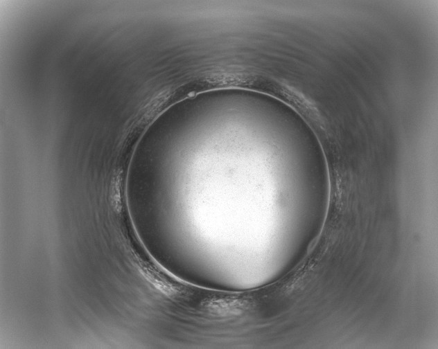 X0000059830065200510211224