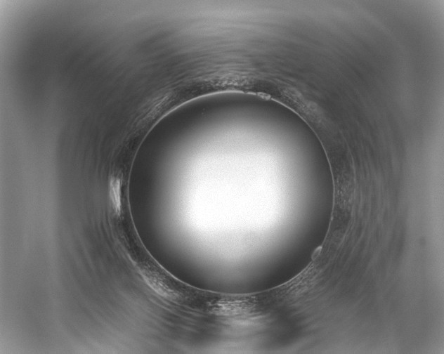 X0000059830070200510211224