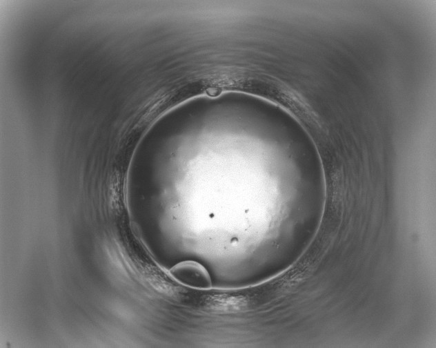 X0000059830073200510211224