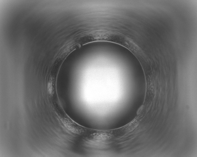 X0000059830074200510211224