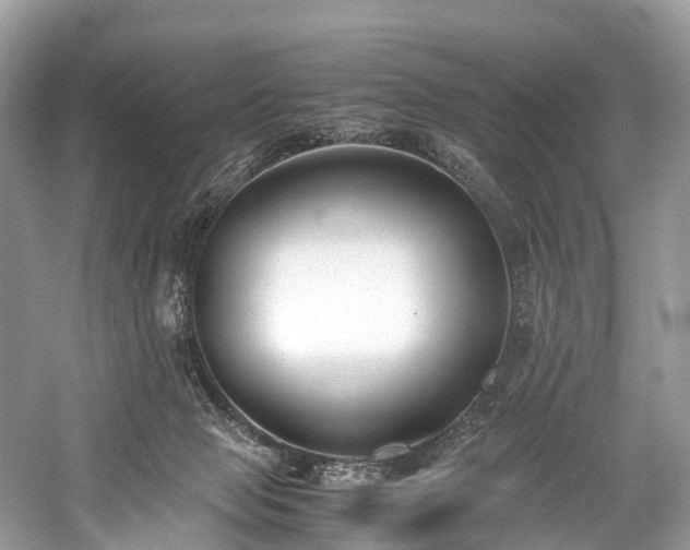 X0000059830077200510211224