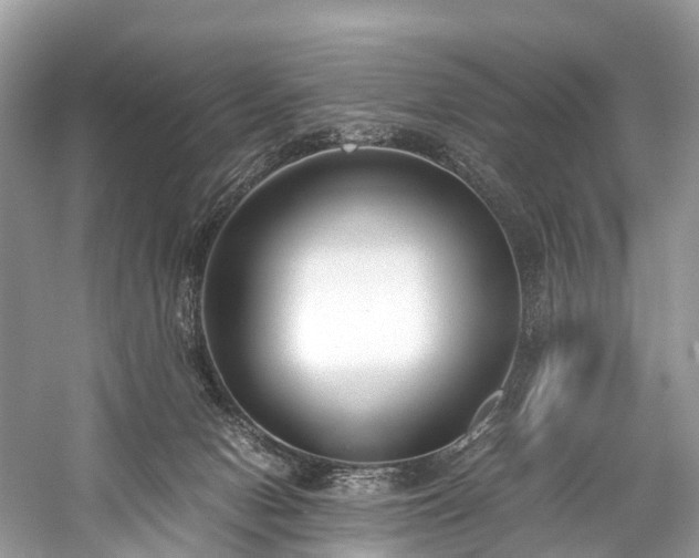 X0000059830078200510211224