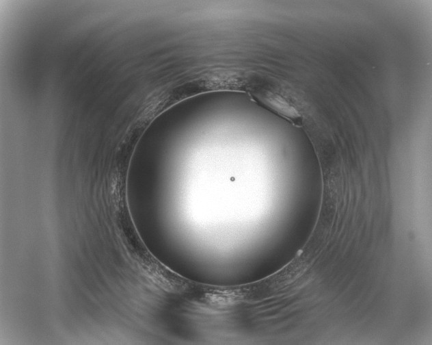 X0000059830079200510211224