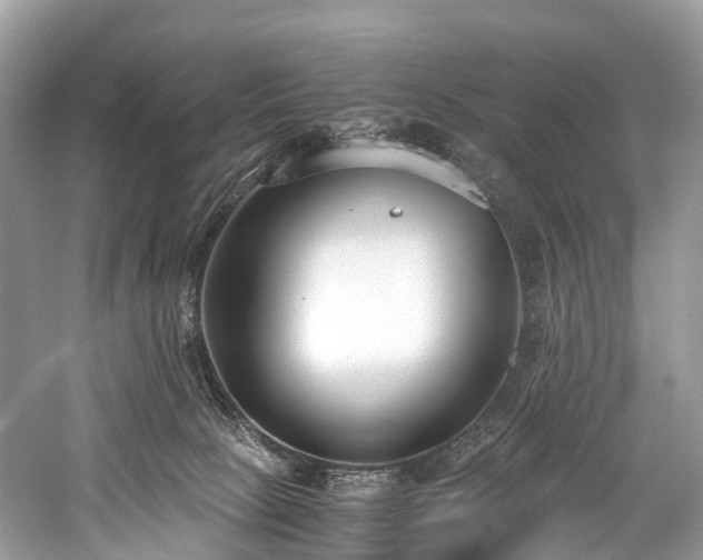 X0000059830081200510211224