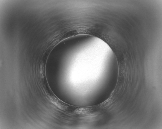 X0000059830082200510211224