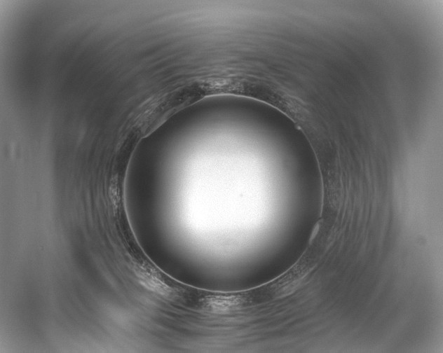 X0000059830085200510211224