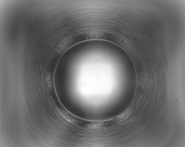 X0000059830086200510211224