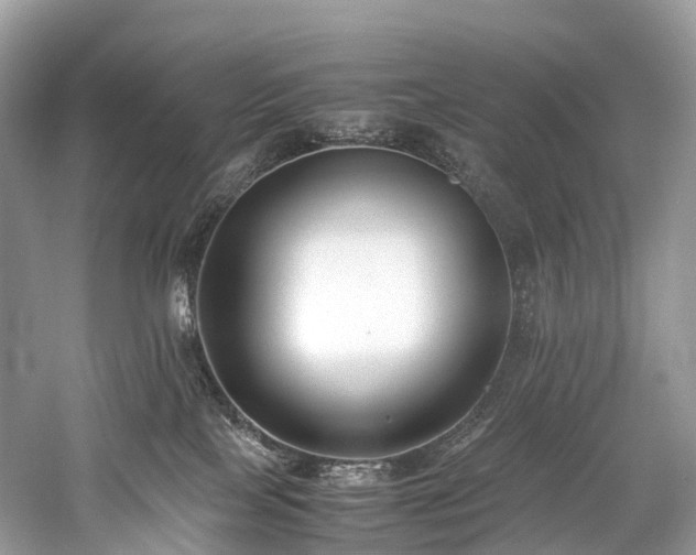 X0000059830089200510211225