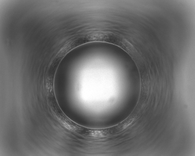 X0000059830091200510211225