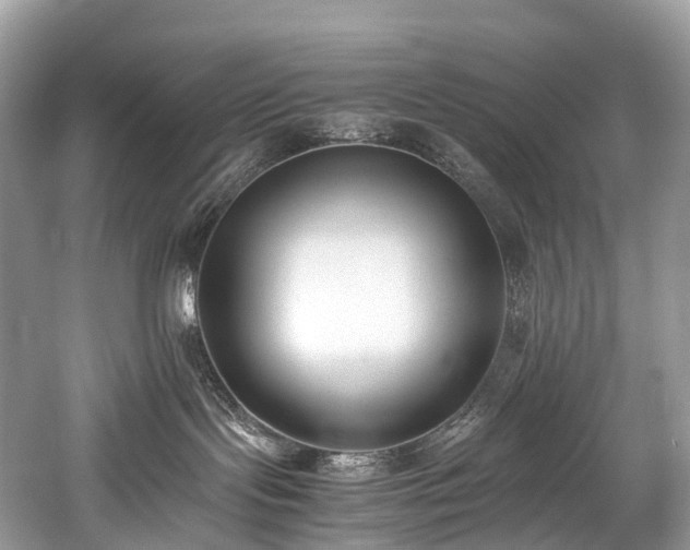 X0000059830095200510211225