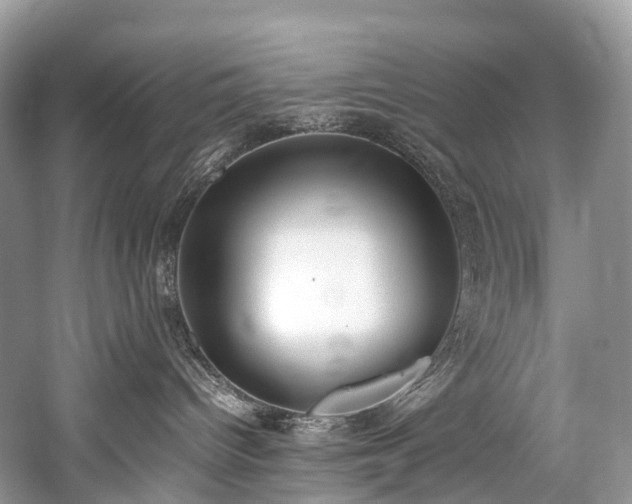 X0000059830096200510211225