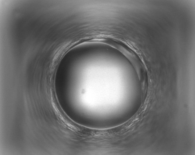 X0000059830097200510211224