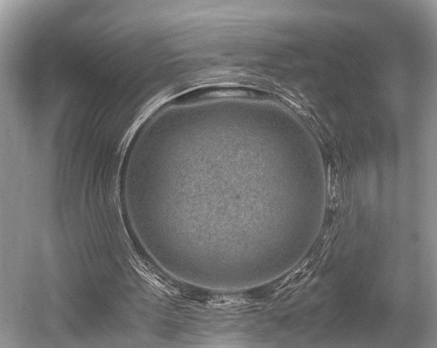 X0000059830099200510211224