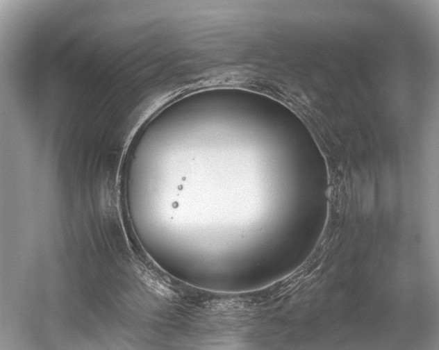 X0000059830100200510211224