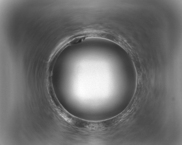 X0000059830101200510211223