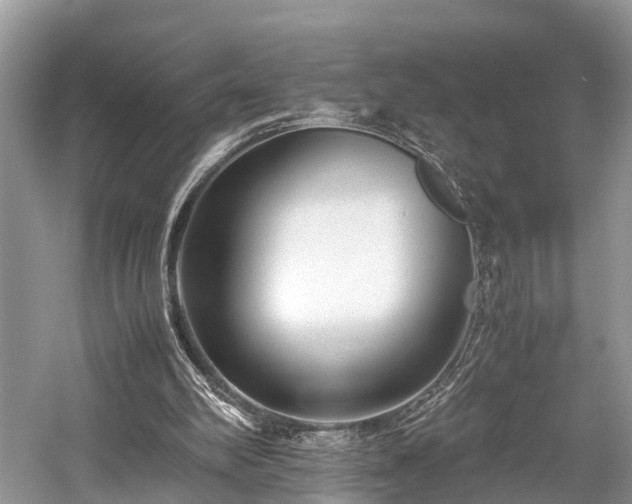 X0000059830102200510211223