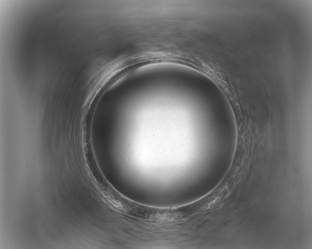 X0000059830103200510211223