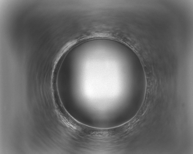 X0000059830104200510211223