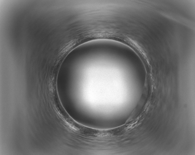 X0000059830105200510211223