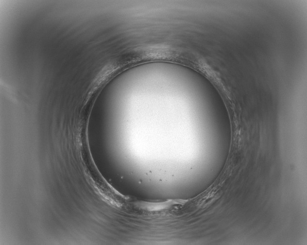 X0000059830106200510211223