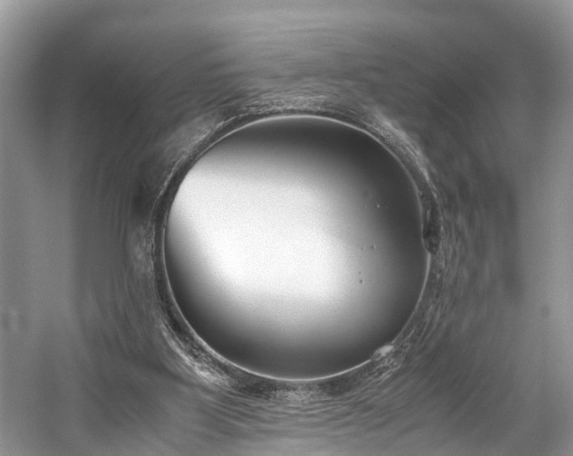 X0000059830107200510211223