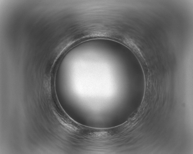 X0000059830108200510211223