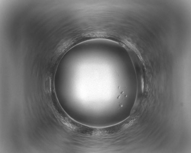 X0000059830109200510211223