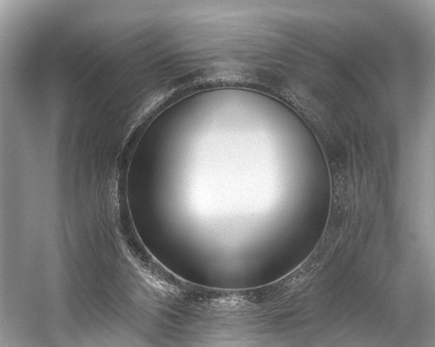 X0000059830112200510211223