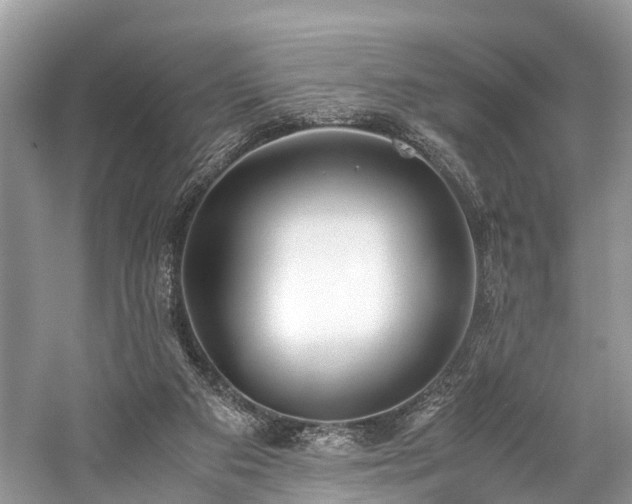 X0000059830113200510211223