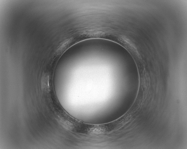 X0000059830115200510211223