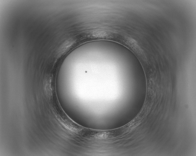 X0000059830116200510211223