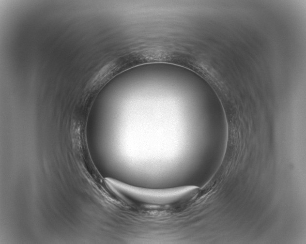 X0000059830117200510211223